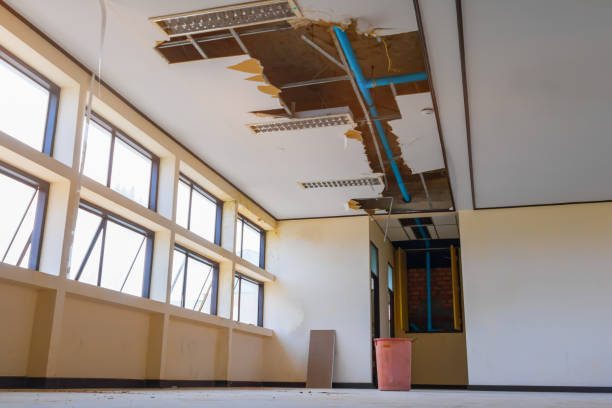 Best Basement water damage restoration  in San Marcos, TX