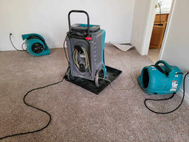 Best Water damage restoration process  in San Marcos, TX