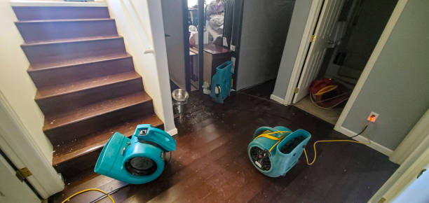 Best Water damage restoration mold remediation  in San Marcos, TX