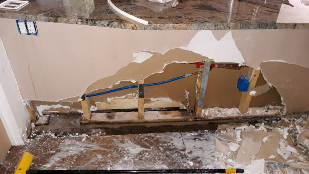 Best Mold removal after water damage  in San Marcos, TX
