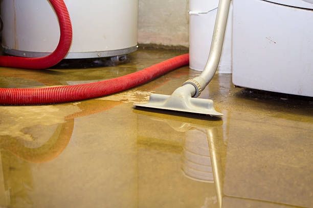 Best Water damage contractors near me  in San Marcos, TX