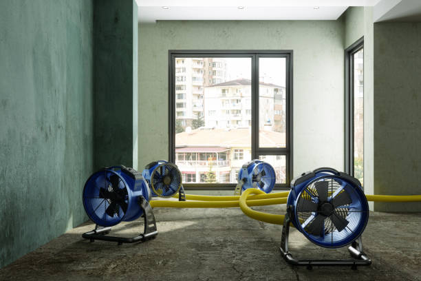 Best 24-hour water damage restoration  in San Marcos, TX