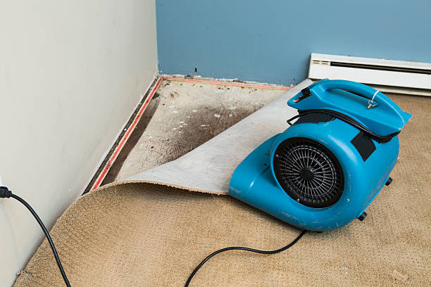 Best Carpet water damage restoration  in San Marcos, TX